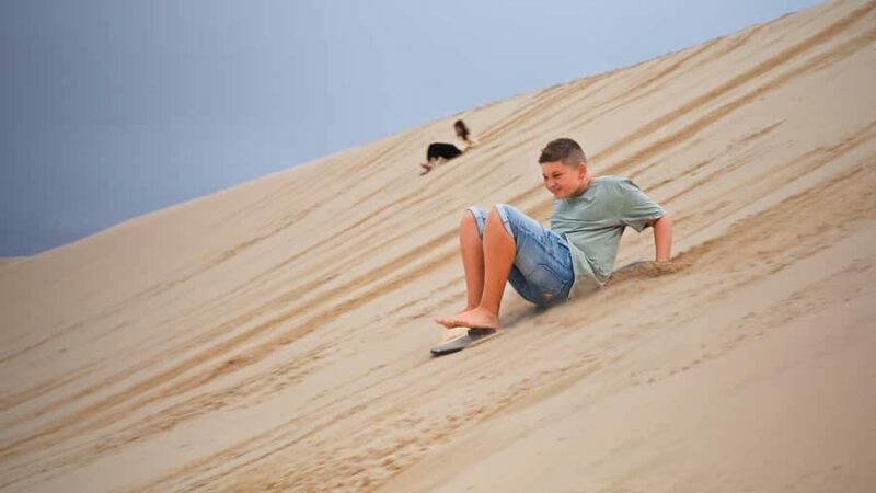 Port Stephens: Dolphin, Lunch, Koalas&Sandboarding -Mandarin - Who Will Love This Tour?