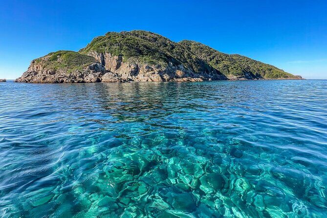 Port Stephens: Dolphin Watch Eco Adventure - The Experience: What Travelers Say