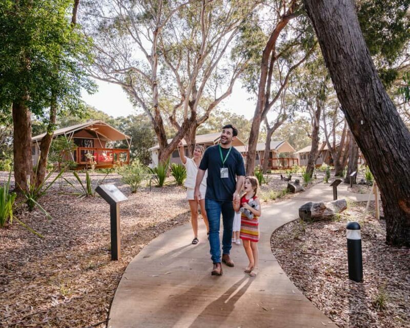 Port Stephens: Koala Sanctuary General Admission Ticket - An Authentic Look at the Port Stephens Koala Sanctuary