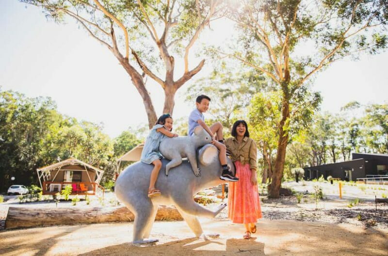 Port Stephens: Koala Sanctuary General Admission Ticket - Final Thoughts: Is It Worth It?