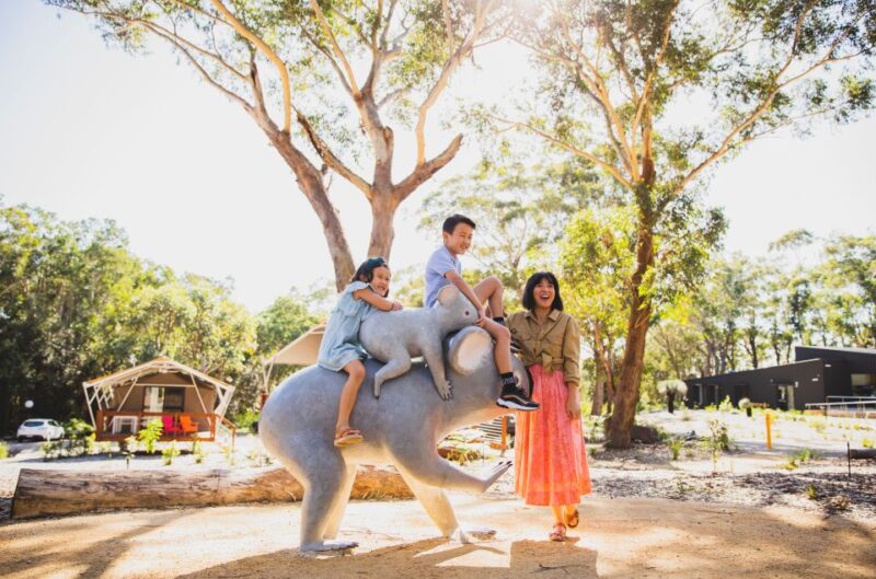Port Stephens: Koala Sanctuary General Admission Ticket - Sanctuary Experience