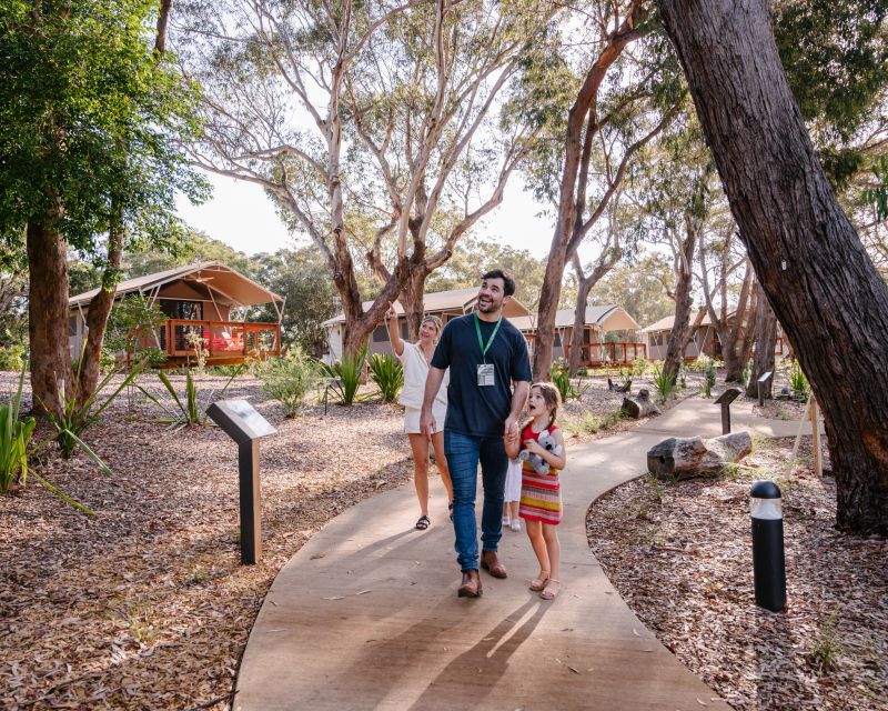 Port Stephens: Koala Sanctuary General Admission Ticket - Visitor Amenities and Accessibility