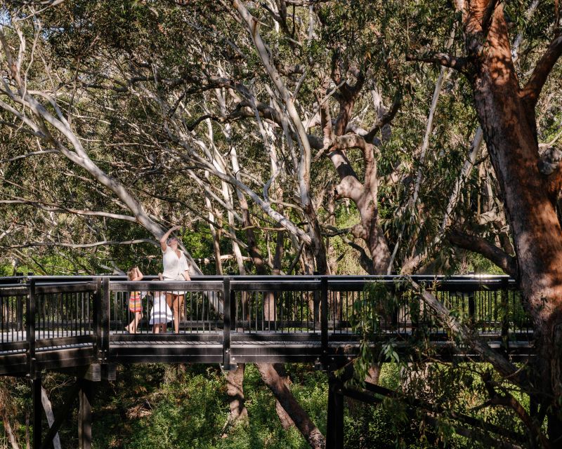 Port Stephens: Koala Sanctuary General Admission Ticket - Additional Information