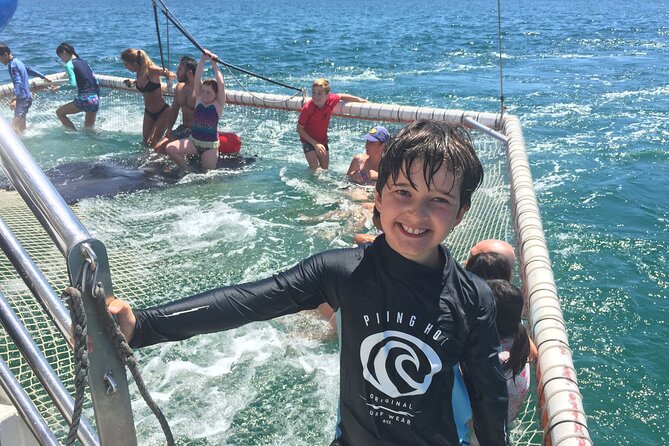 Port Stephens Private Tour From Sydney, With Dolphin/ Whale Cruise Options - Camel Riding Experience