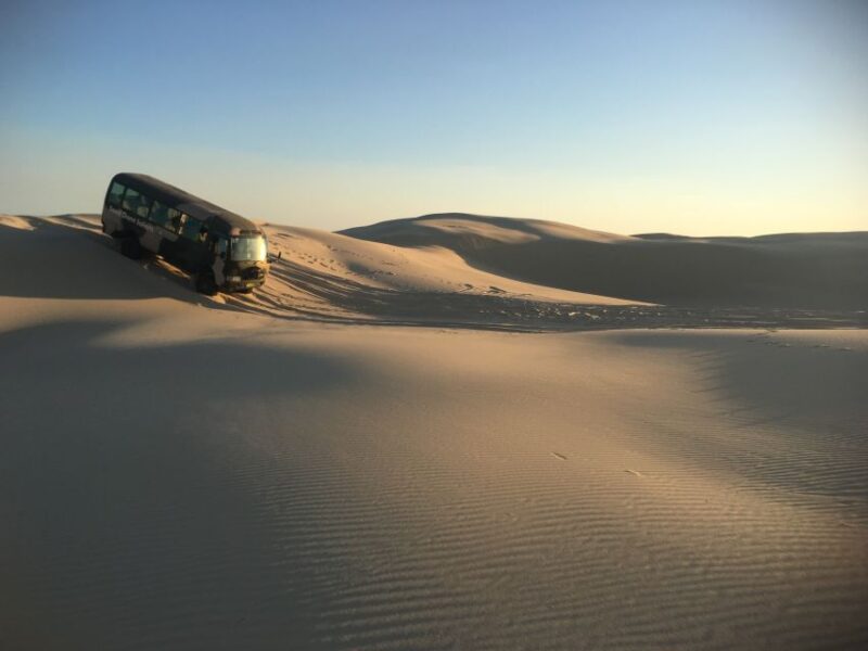 Port Stephens: Sandboarding & Sandsurfing With 4WD Transfer - Booking and Cancellation