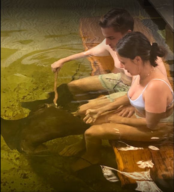 Port Stephens: Shark, Ray and All Creatures Rescue Ticket - Close Encounters With Rescued Animals