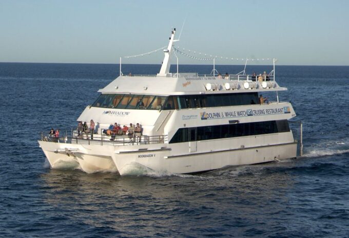 Port Stephens Small Group Whales & Dunes Combo - Immerse in Local Sightseeing and Lookouts