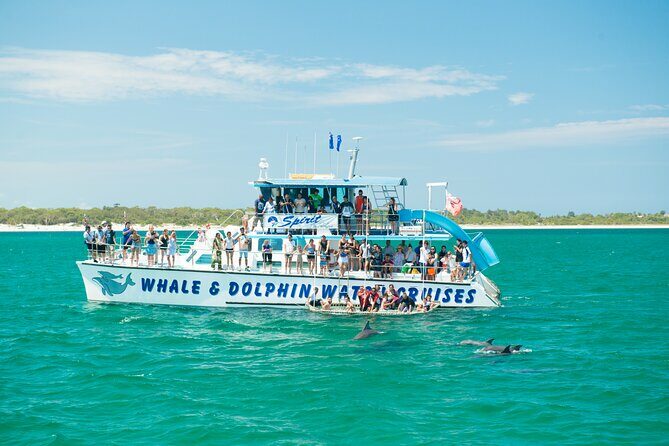 Port Stephens: Splash 'n' Slide Dolphin Cruise - Key Points: