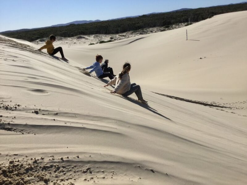 Port Stephens: Stockton Sand Dunes 4WD Tag-Along Tour - Key Points