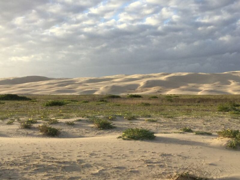 Port Stephens: Stockton Sand Dunes 4WD Tag-Along Tour - Highlights of the Tour