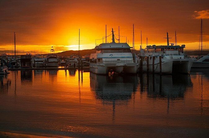 Port Stephens: Sunset on the Bay Cruise - Summary: A Relaxed, Scenic Experience with a Touch of Magic