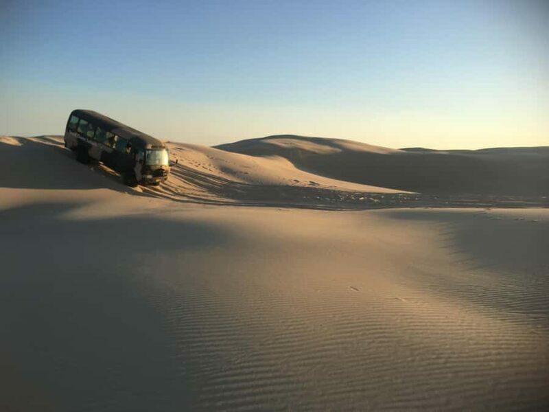 Port Stephens: Unlimited Sandboarding with 4WD Dune Transfer - Practical Considerations & Tips