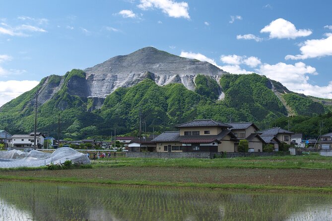 Portable Shrine, Mikoshi, Into the River! Chichibu Kawase Festival. - Fitness Level and Accessibility