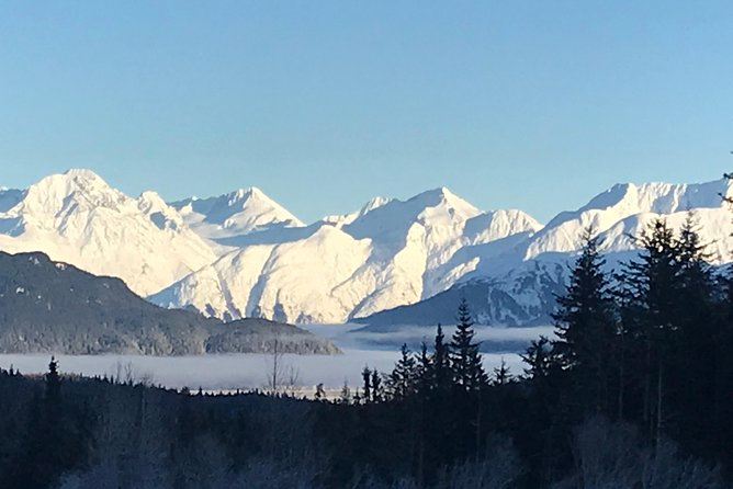 Portage Glacier Cruise and Wildlife Explorer Tour - Scenic Drive Along Turnagain Arm