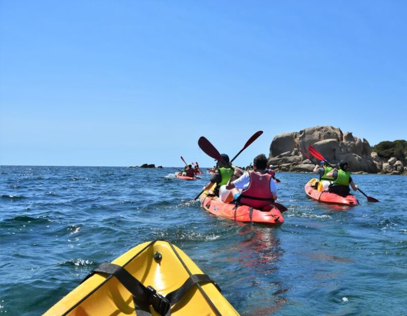 Porticcio: Guided Kayaking Tour - Key Points