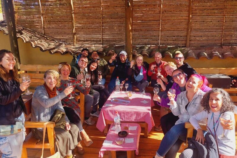 Portillo Andes Mountain Range Inca Lagoon and Wine Tasting - Itinerary Highlights