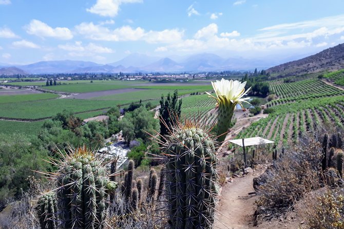 Portillo Inca Lagoon in Los Andes + Local Vineyard Tour - Tour Overview