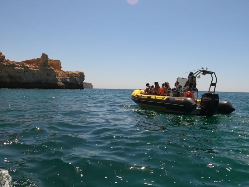 Portimão: 2-Hour Dolphin Watching Boat Tour - Experience Highlights