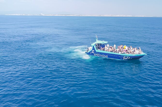 Portimão: 2H30 Guaranteed - Dolphins and Seabirds - Biologist on Board - Booking and Check-in Details