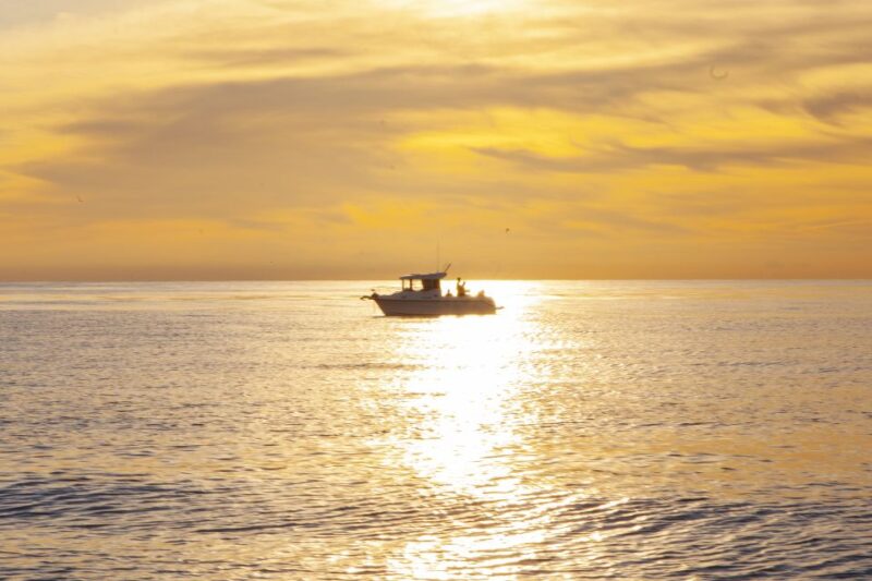 Portimão: Algarve Reef Fishing - Fishing Gear and Licenses