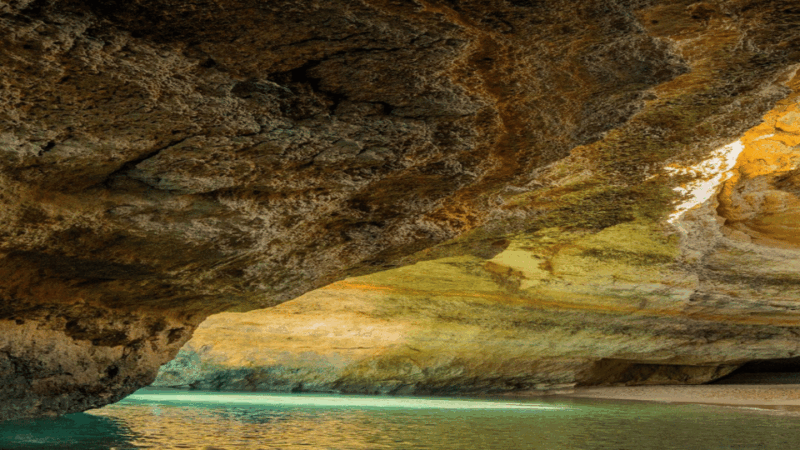 Portimão: Benagil Caves and Dolphin Watching - Key Points