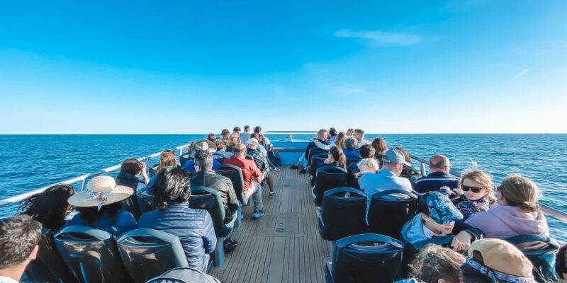 Portimão: Benagil Caves & Dolphin Watching With Biologist - Highlights of the Experience