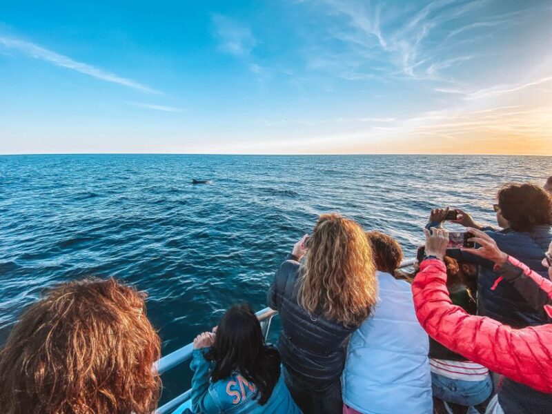 Portimão: Benagil Caves & Dolphin Watching With Biologist - Customer Reviews