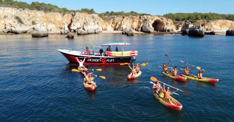 Portimão: Benagil Caves Speedboat and Kayak Guided Tour - Customer Feedback and Ratings