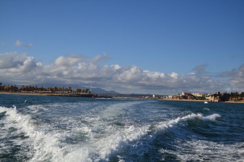 Portimao: Boat Trip to the Benagil Cave - Private or Shared Experiences
