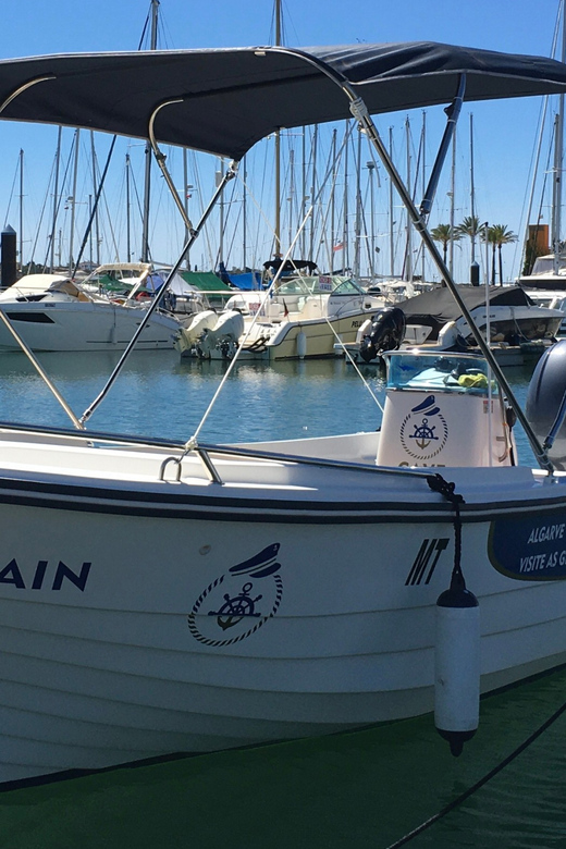 Portimão: Caves, Benagil and Algarve Coastline Boat Tour - Snorkeling Adventure in Underwater World