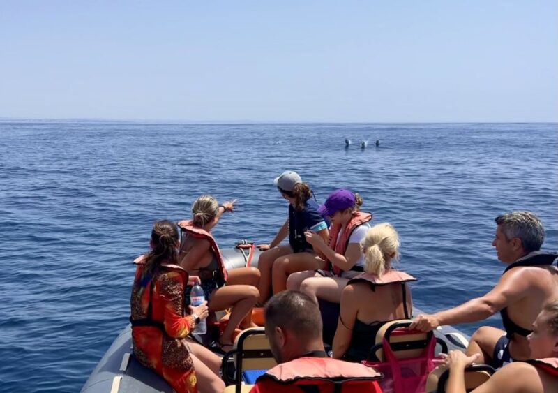 Portimão: Dolphin Watch & Benagil Caves With Biologist Guide - Key Points
