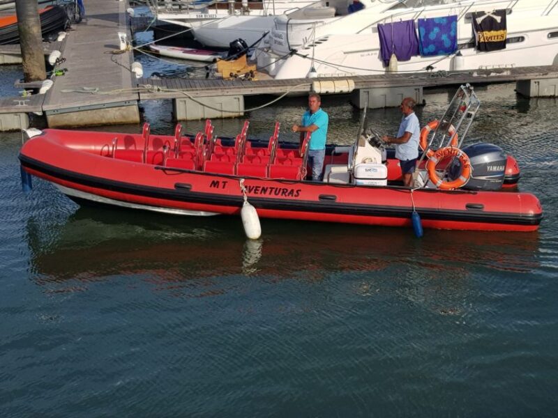 Portimão: Dolphin Watching on the Algarve Coast - Activity Overview
