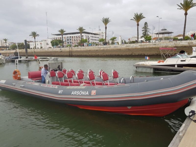 Portimão: Dolphin Watching on the Algarve Coast - Tour Inclusions