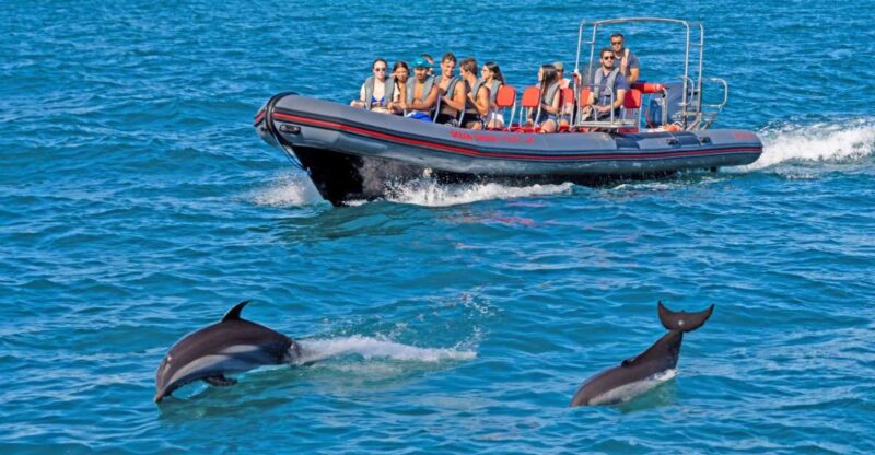 Portimão: Dolphin Watching Tour With Marine Biologist - Wildlife Encounter
