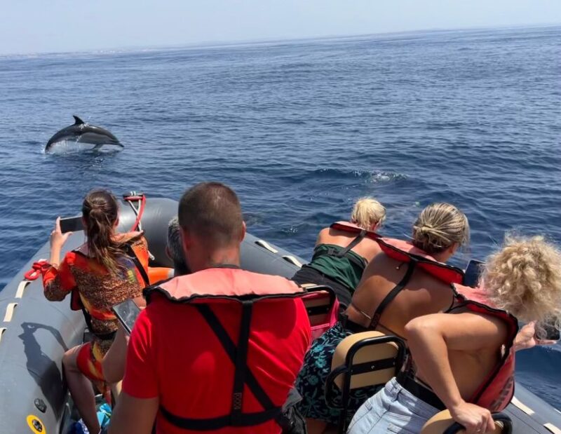 Portimão: Dolphins and Marine Life Boat Tour With Biologist - Experience and Itinerary
