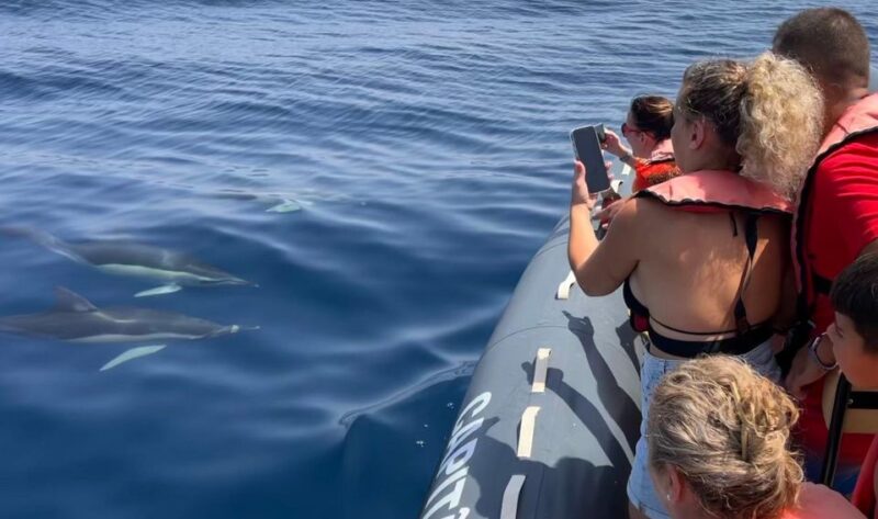 Portimão: Dolphins and Marine Life Boat Tour With Biologist - Educational Aspects