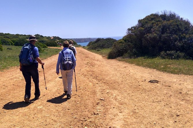Portimão: Rambling In The West Algarve (Self-Guided) - Accessibility and Fitness