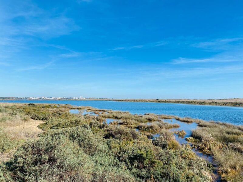 Portimão Sightseeing Guided Tour on E-Bikes - Highlights of the Tour