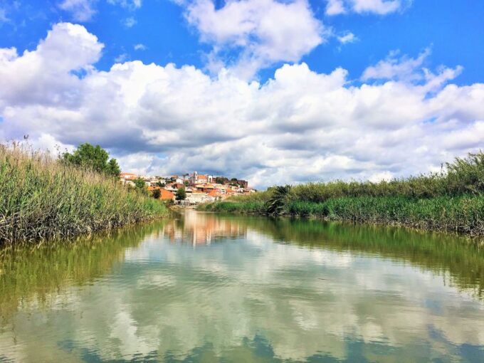 Portimão: Silves & Arade River History Tour on a Solar Boat - Guest Feedback