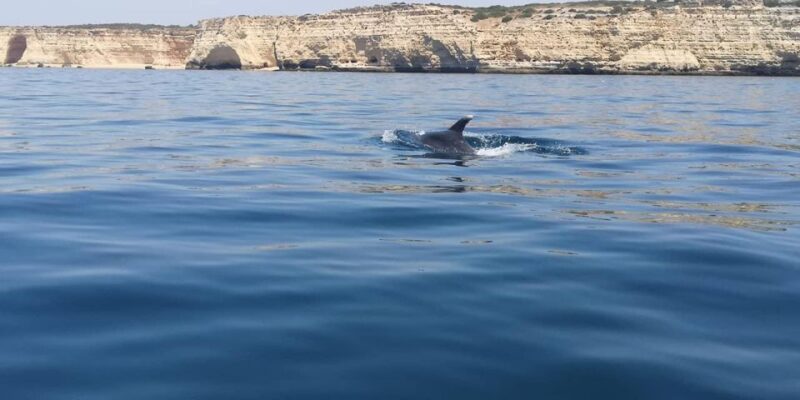 Portimão: Sunrise Private Tour - Itinerary Highlights