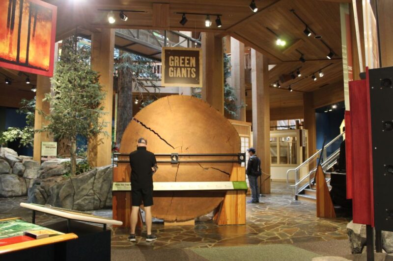 Portland: Afternoon City Highlights Tour - Excursion Experience