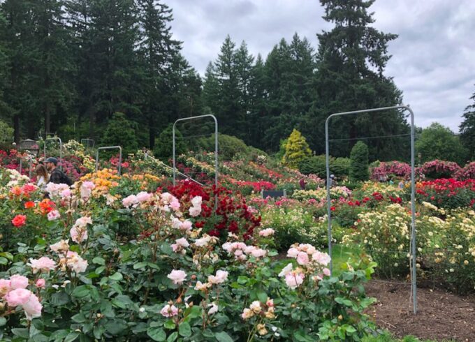 Portland: Afternoon City Highlights Tour - Booking and Pricing
