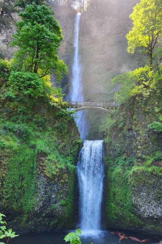 Portland City + Waterfall Combo: a Full Day of Sightseeing - Itinerary Highlights
