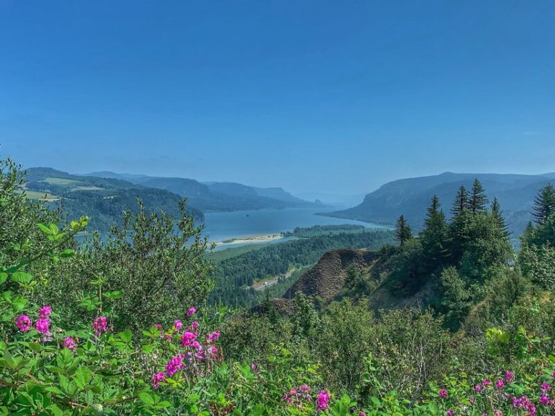 Portland: Columbia River Gorge Waterfalls Afternoon Tour - Guide and Experience