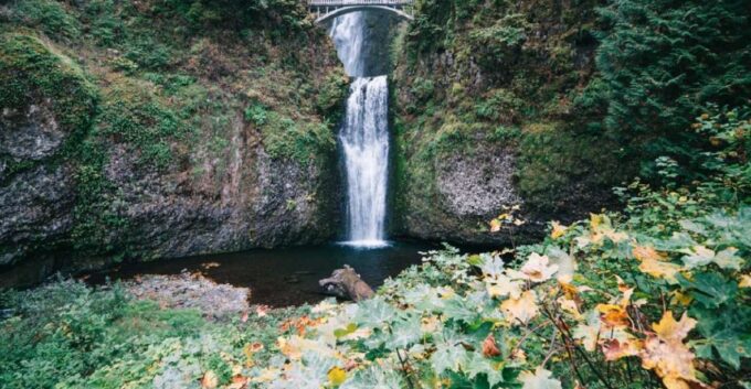 Portland: Columbia River Gorge Waterfalls Afternoon Tour - Frequently Asked Questions
