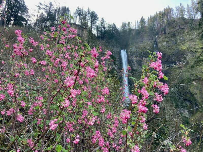 Portland: Columbia River Gorge Waterfalls Hike & Bike Tour - Key Points