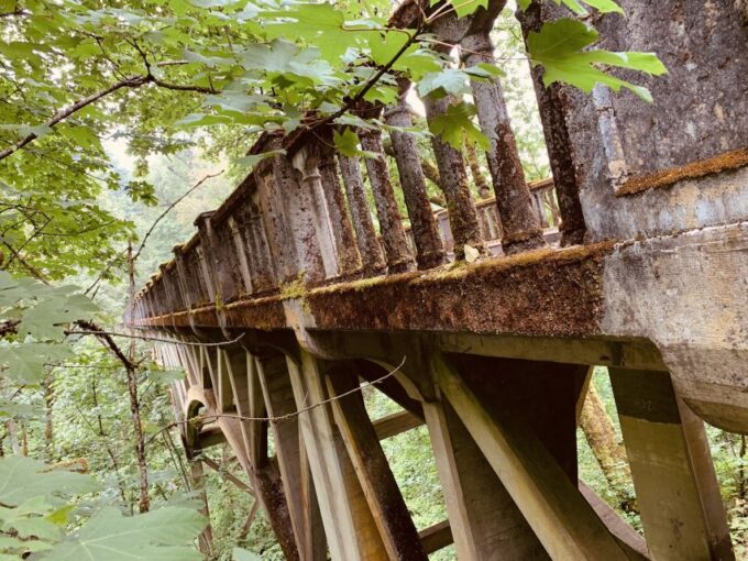 Portland: Columbia River Gorge Waterfalls Morning Tour - Duration and Price