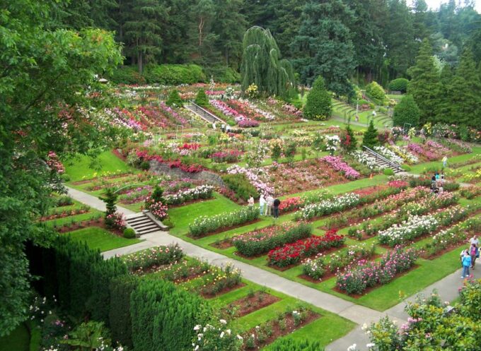 Portland: Guided City Tour by Bus - International Rose Test Garden