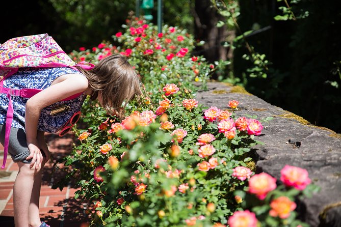 Portland Hop-On Hop-Off Pink Trolley Tour With Gray Line - 1 or 2 Day Pass - Weather and Operational Details
