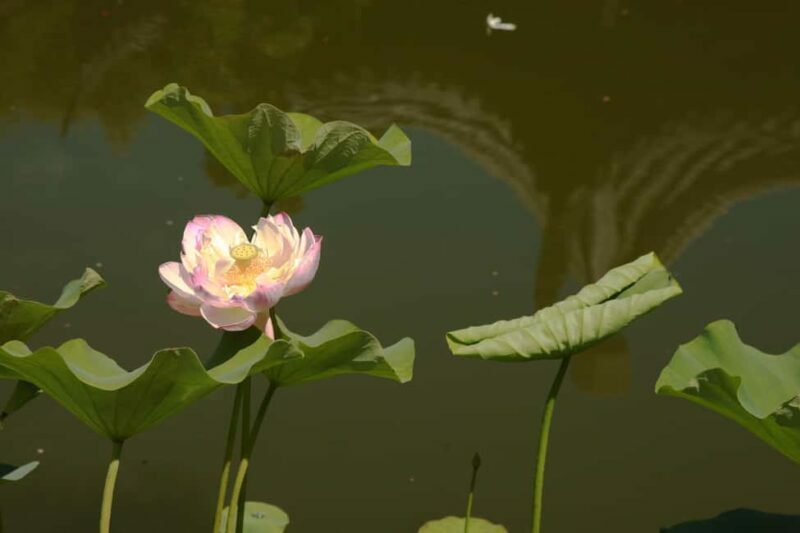 Portland: Lan Su Chinese Garden General Admission Ticket - The Cultural Significance